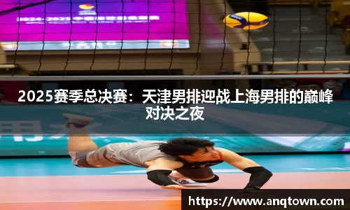 2025赛季总决赛：天津男排迎战上海男排的巅峰对决之夜